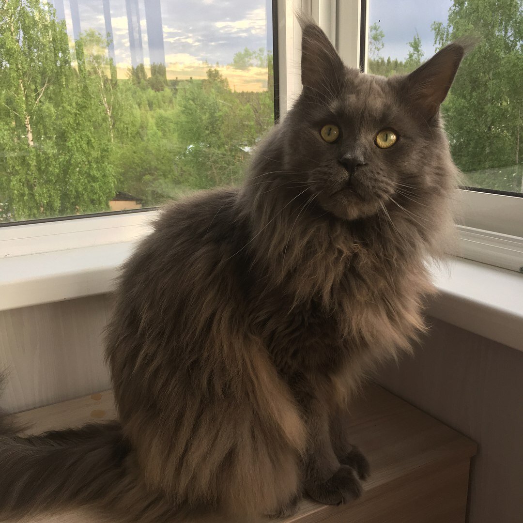 Фото из личного архива.