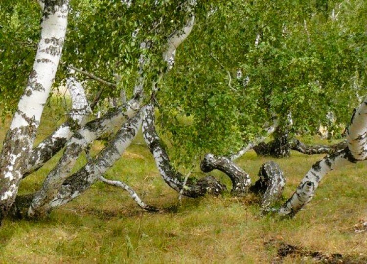 Чёртово логово в Волгоградской области