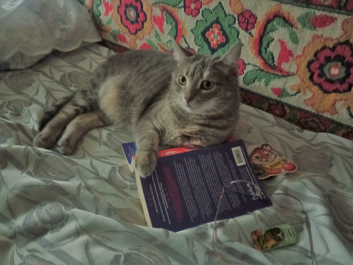 Котя не прочь отдохнуть с книжкой