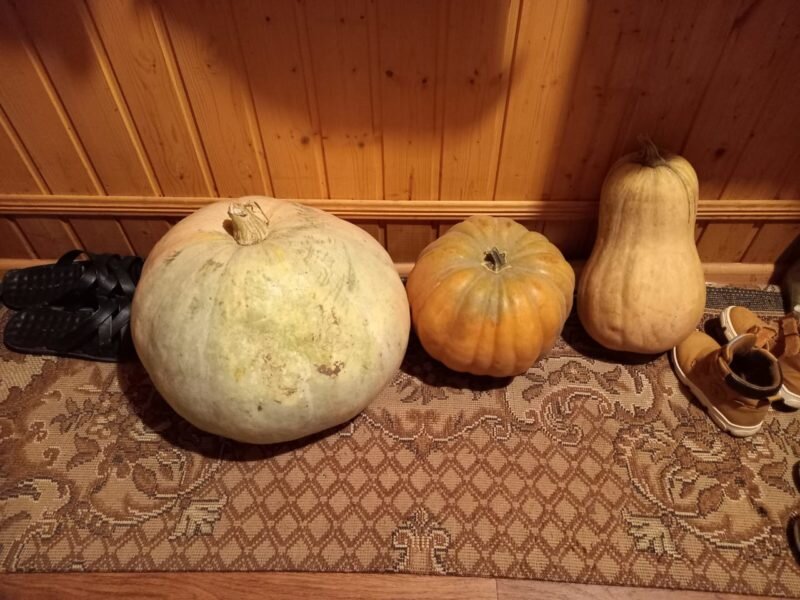 Места для хранения