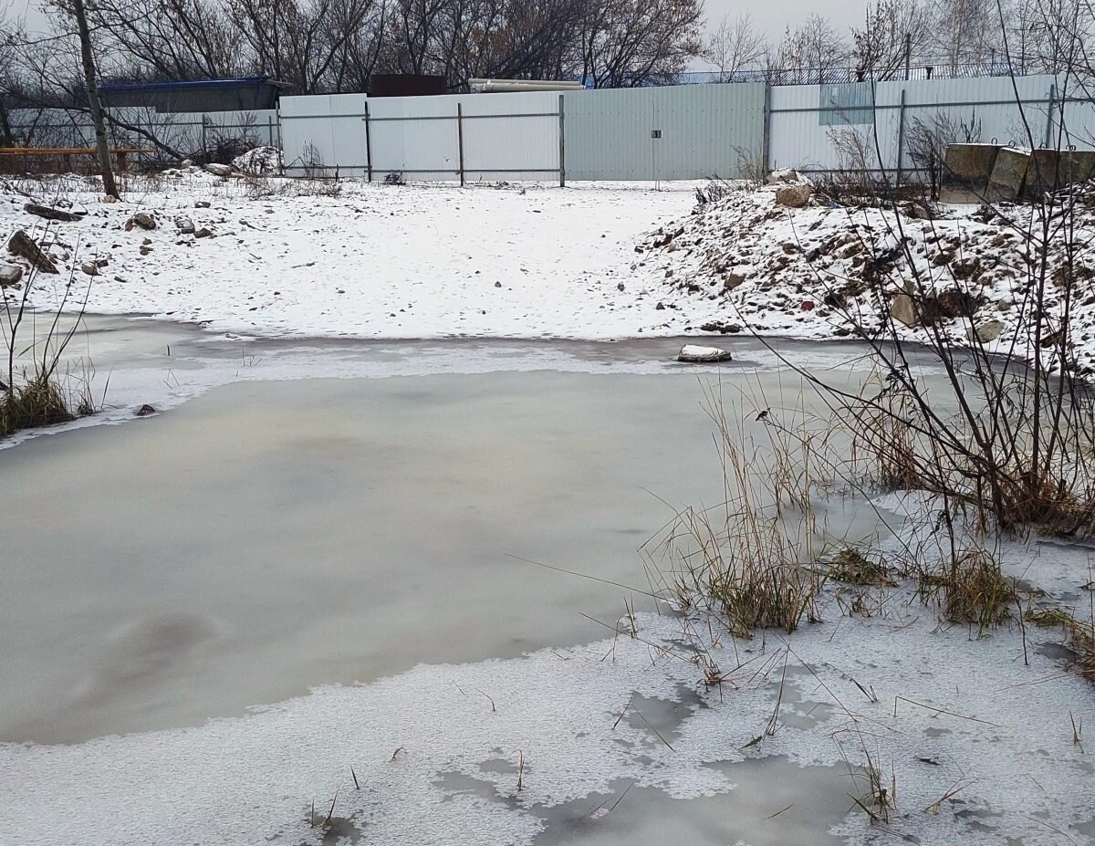    Отбор проб показал, что вода имеет высокое содержание загрязняющих веществ Мария Материкова