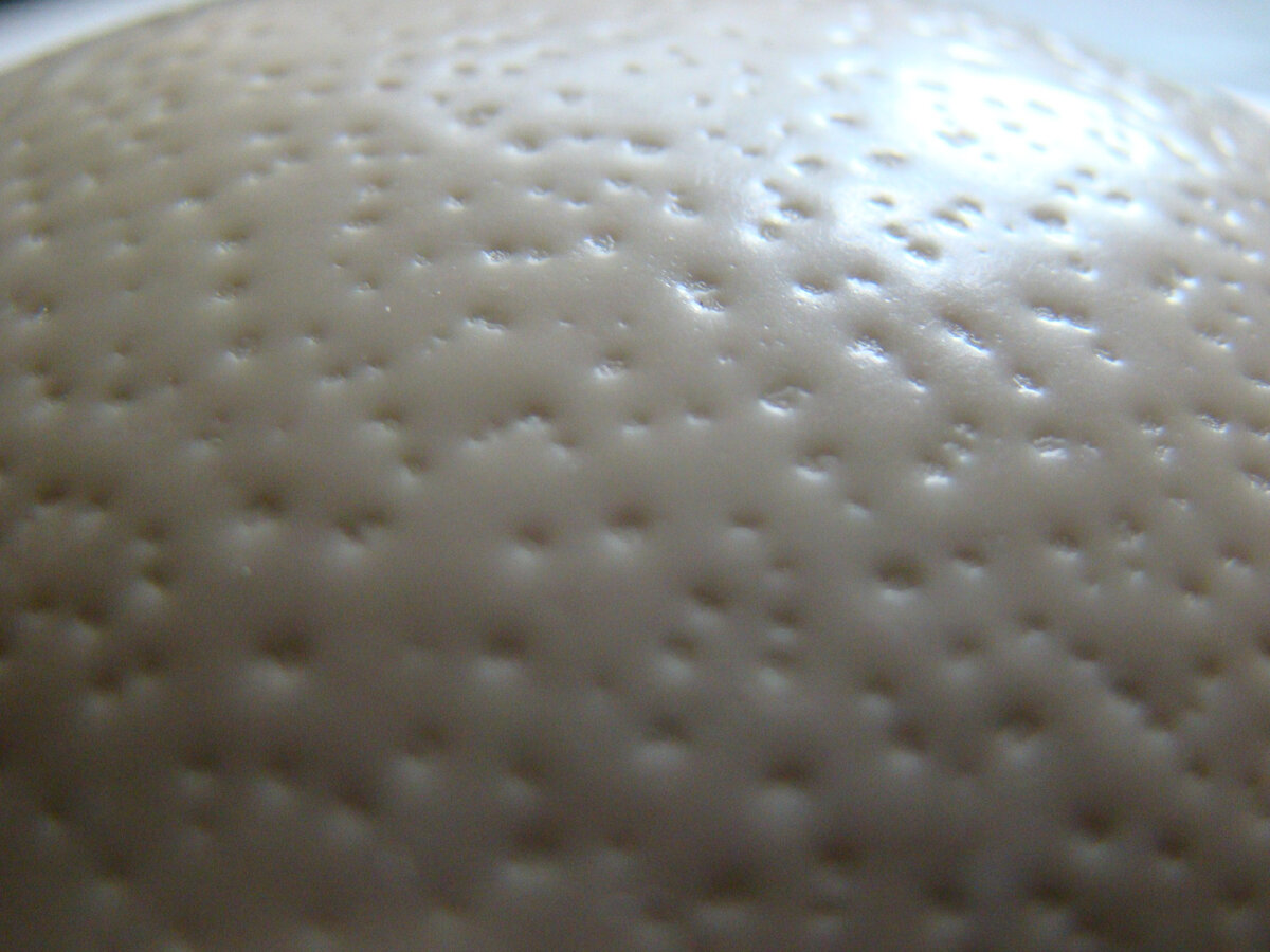 Скорлупа. Крупный план