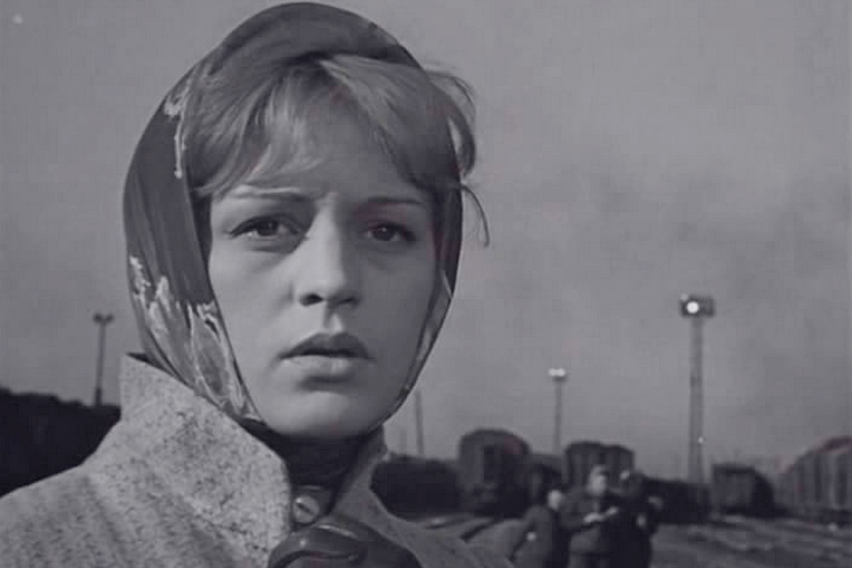 актриса ссср алиса фрейндлих. елена образцова портрет. алиса фрейндлих. алиса фрейндлих молодая. людмила савельева 2022.