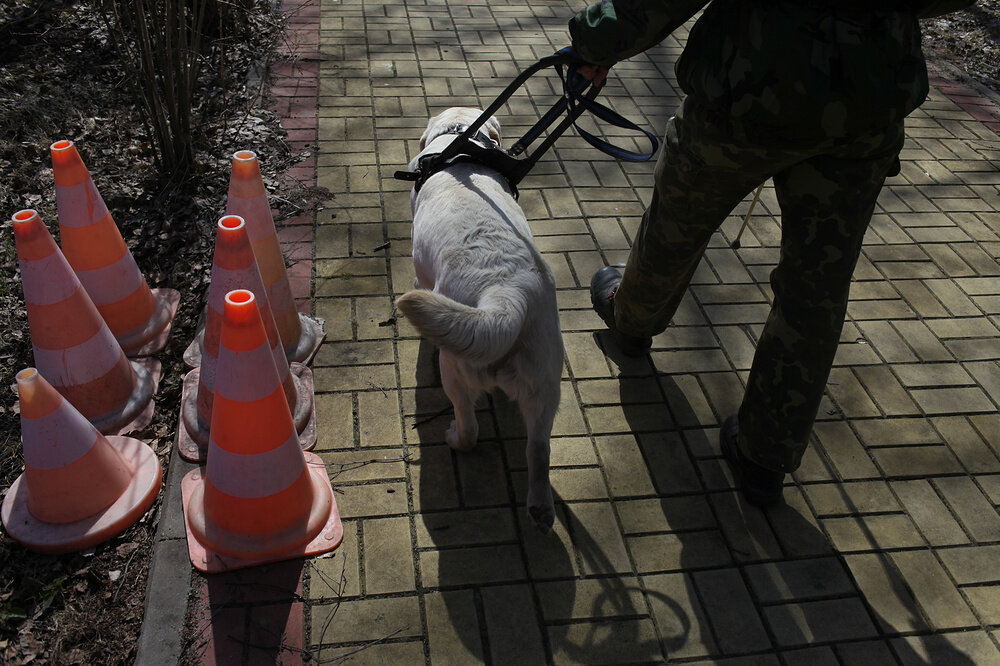 © Роман Канащук 