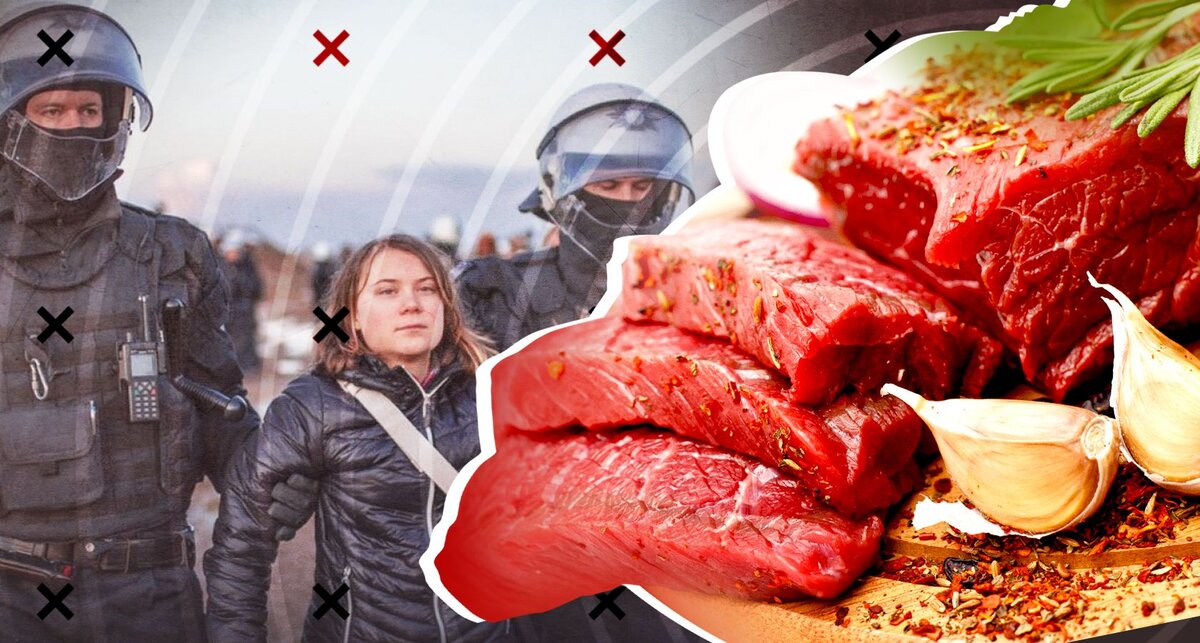 Ест мясо, и с большим аппетитом: звездный диетолог уличила Грету Тунберг вотказе от веганства