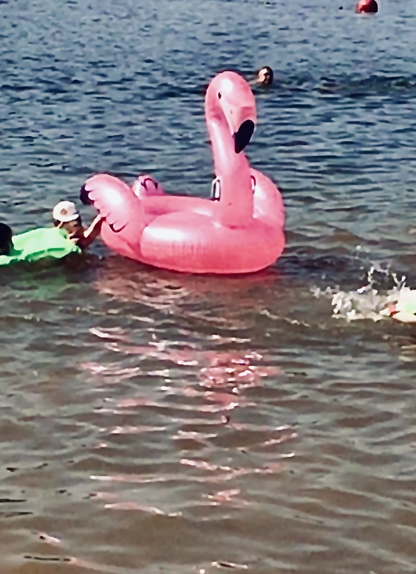 Истринское водохранилище июнь 2021