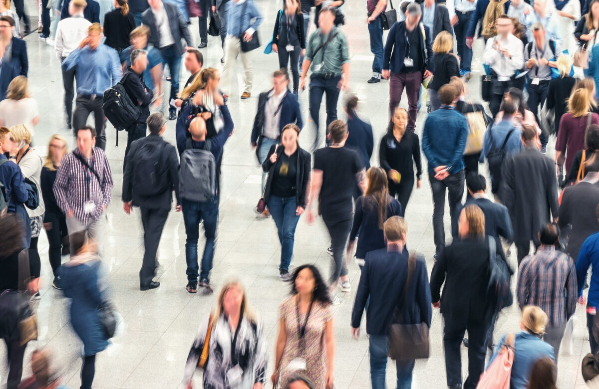 Картинка из Яндекс