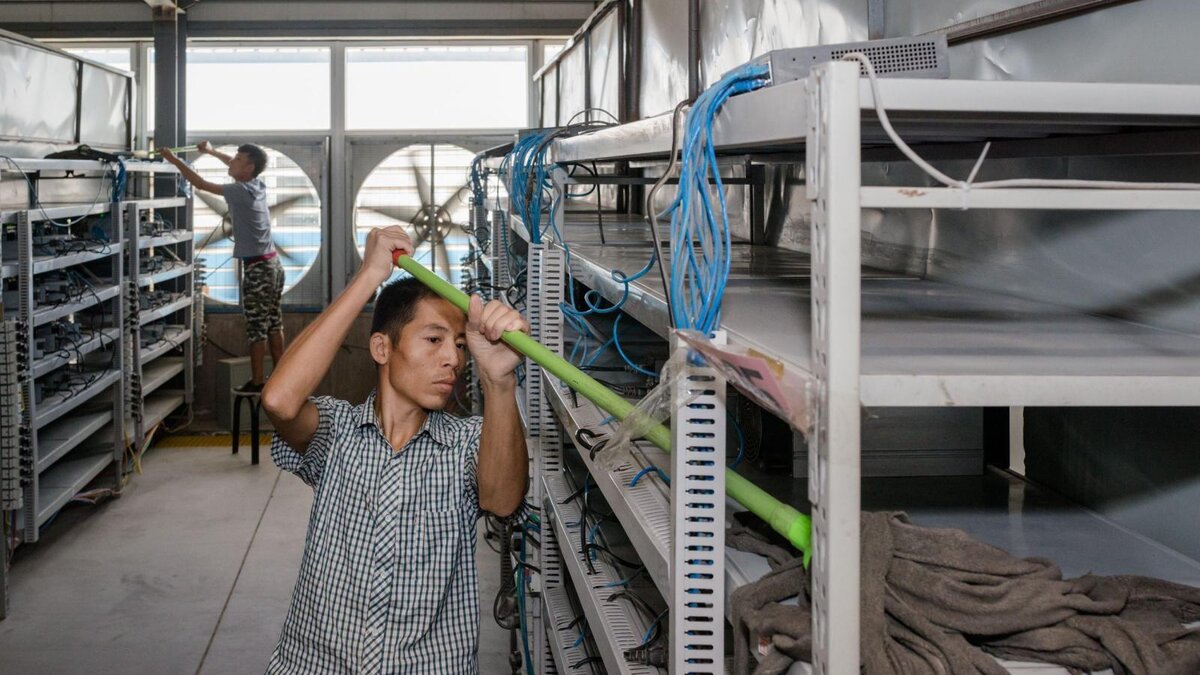Фото с сайта https://forklog.com/