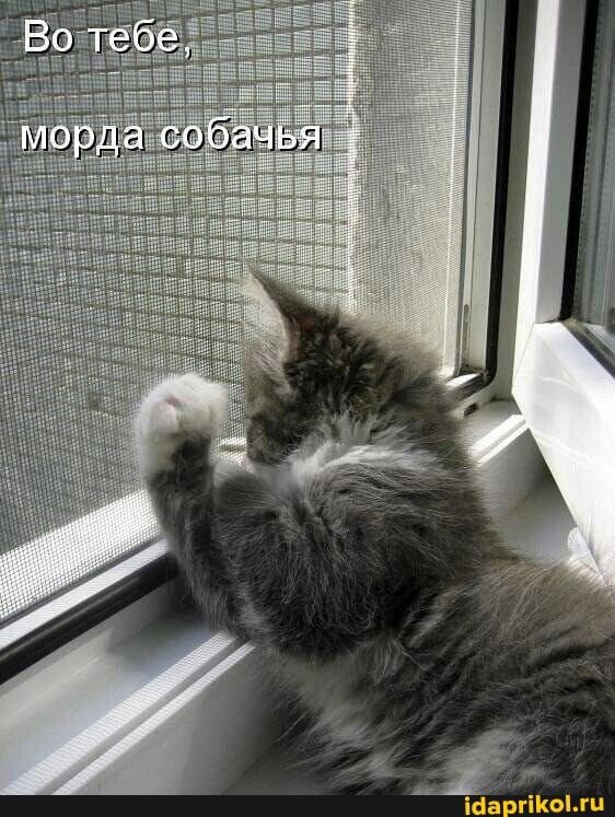 фото использовано в качестве иллюстрации. Источник "Яндекс.Картинки"