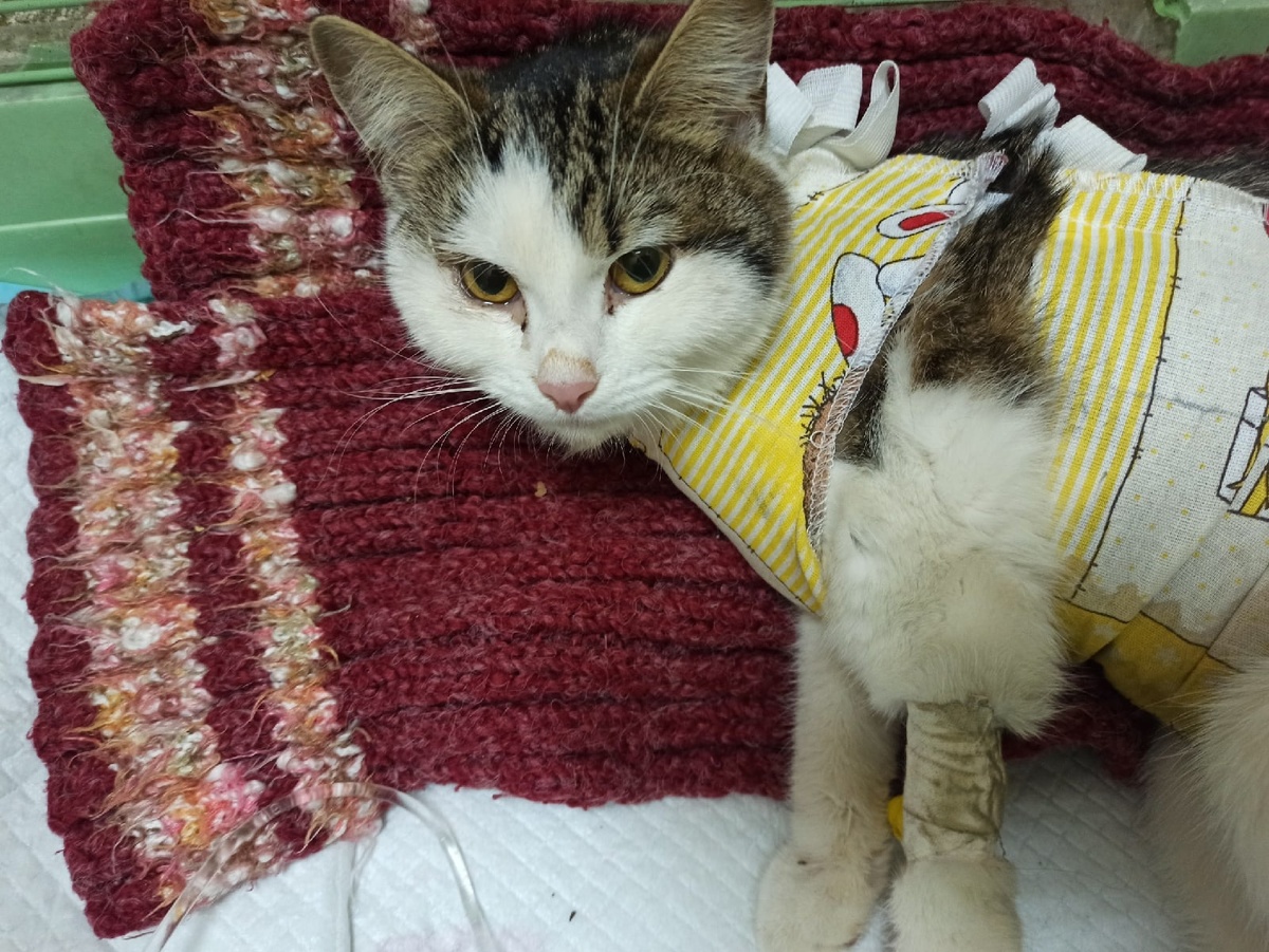 3 после операции