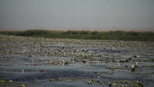 Отдых в дельте Волги, Астраханская область