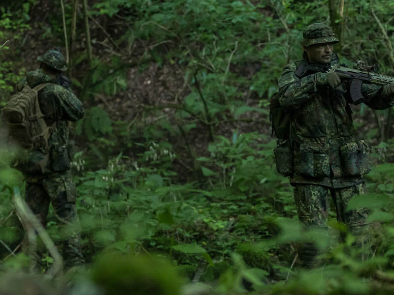 Немецкий Flecktarn