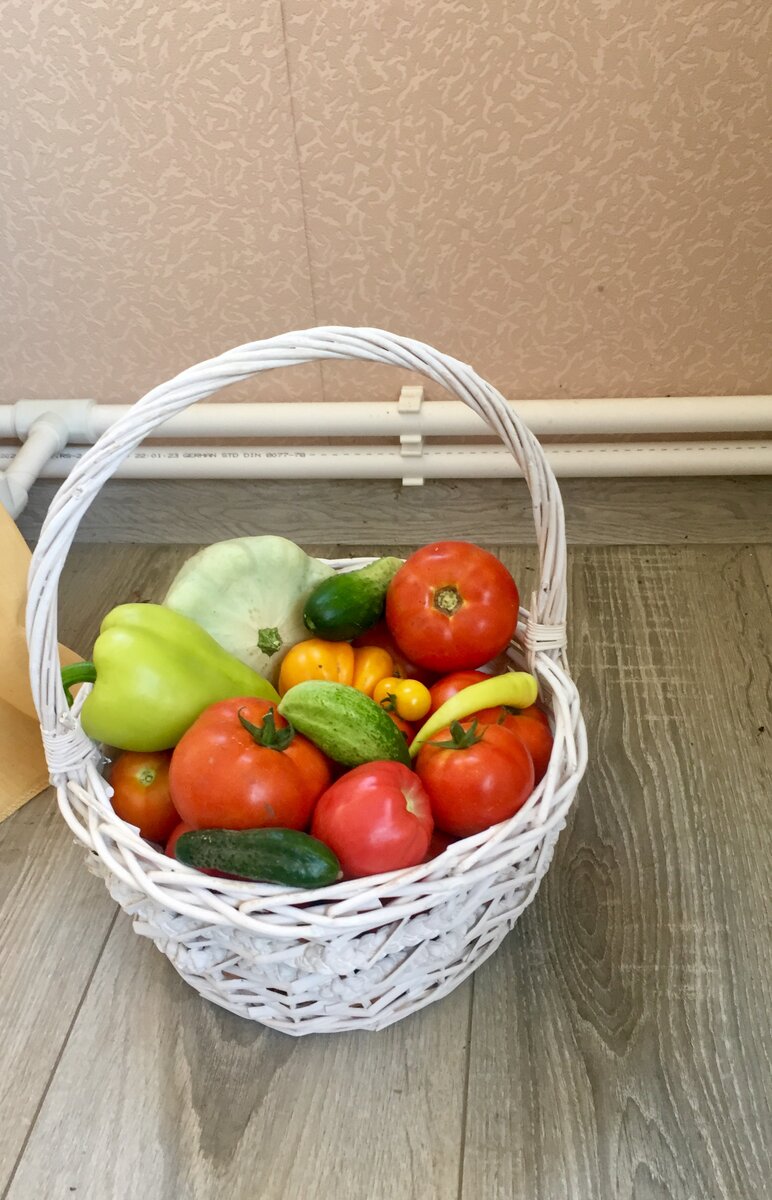 Все это было собрано на моем участке. 