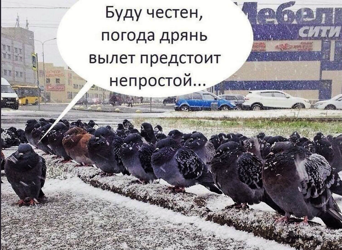 День будет непростым и