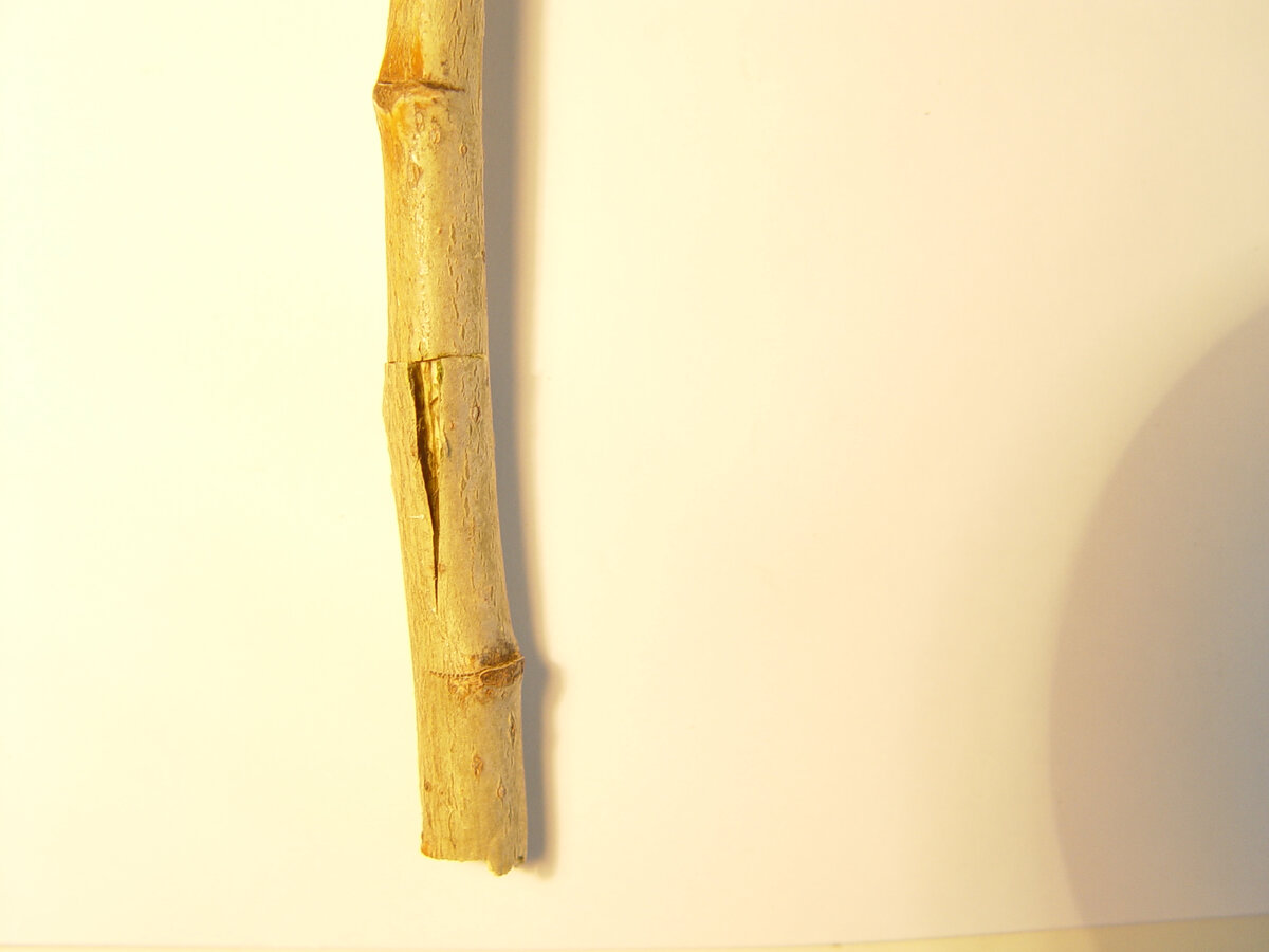 Т-образный надрез