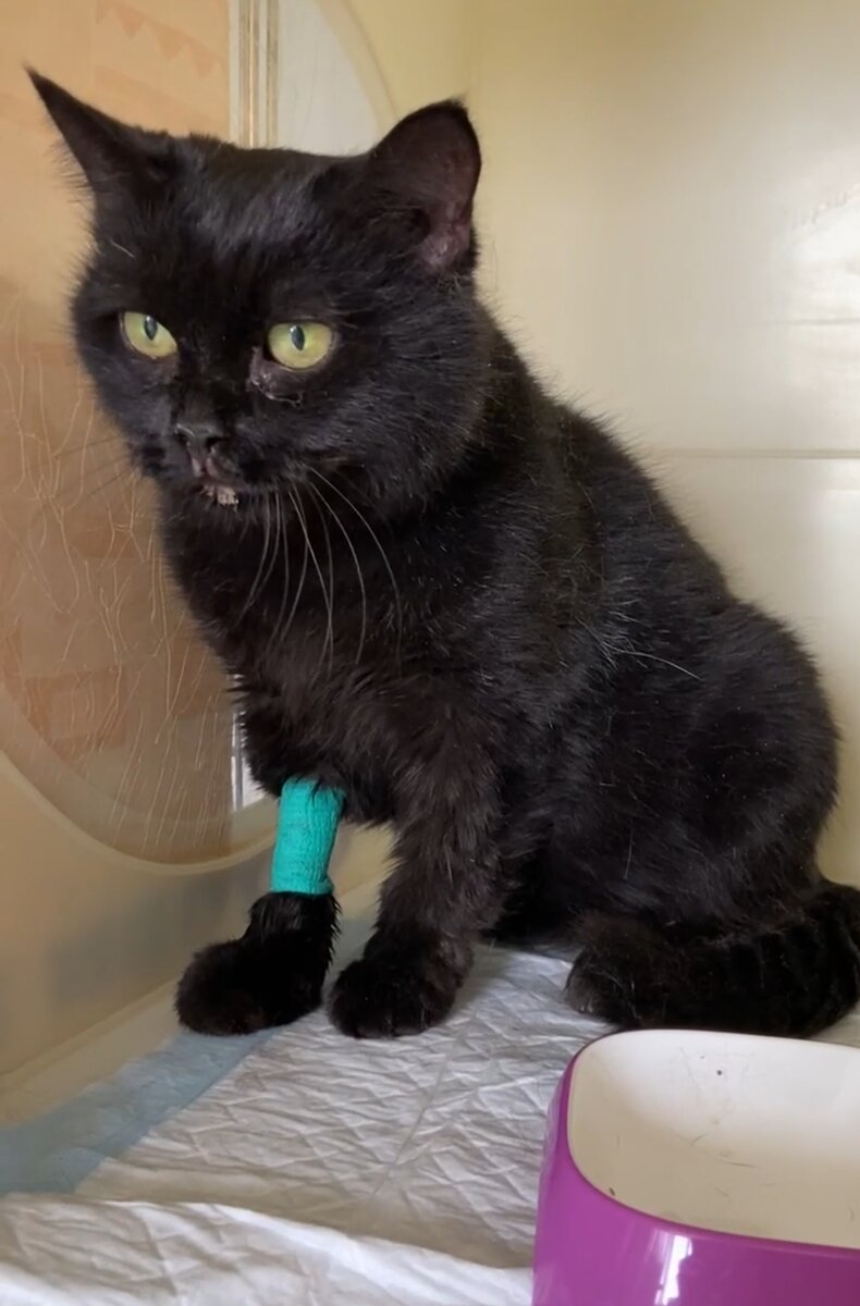 Вот такая она сейчас 