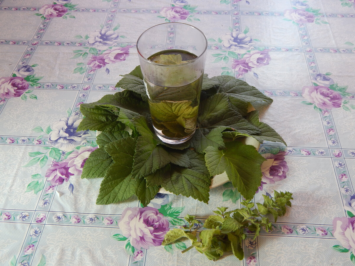 Смородиновый чай с мятой и мелиссой.