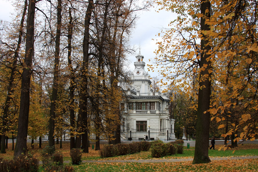 Грачевский парк в ховрино