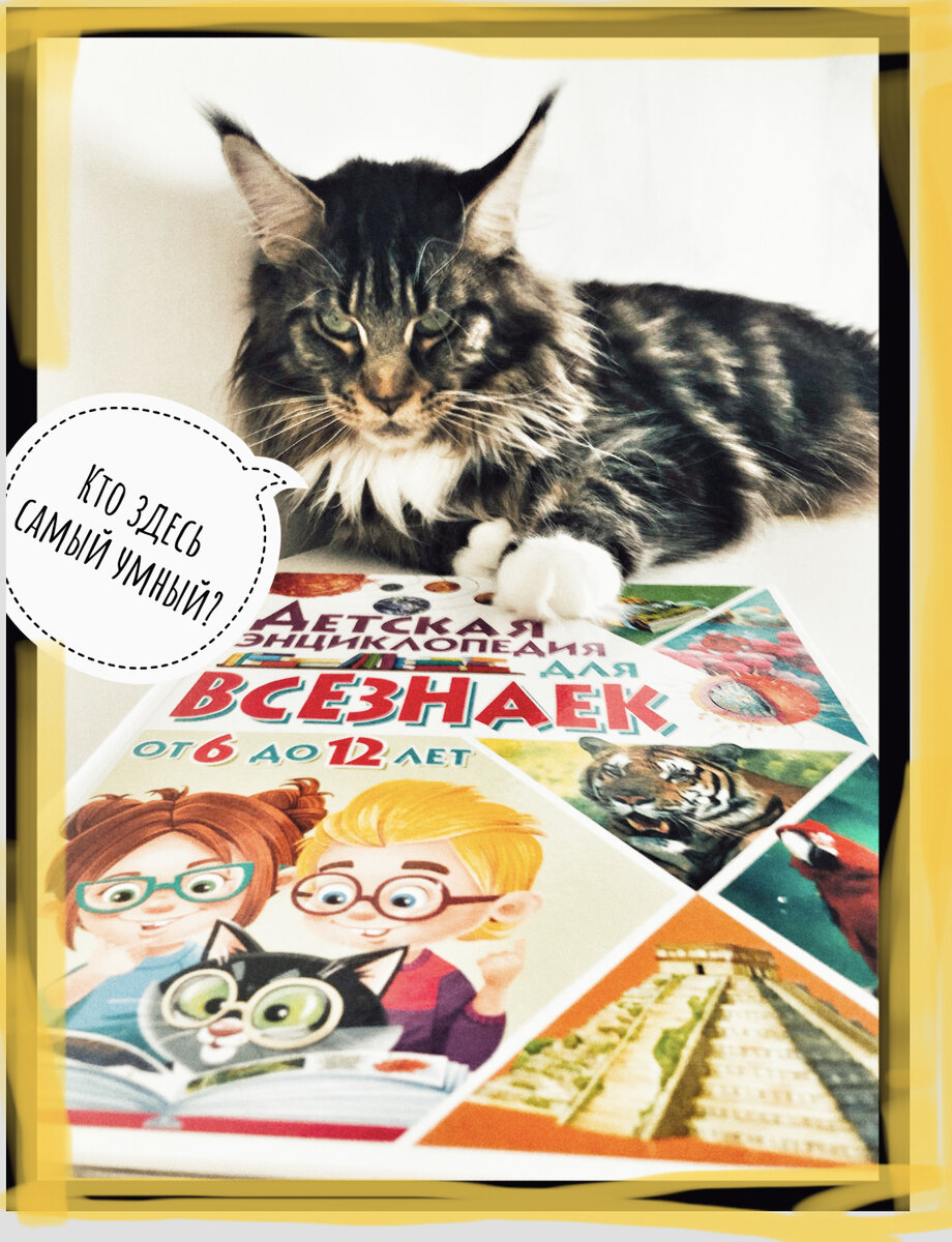 Лукас предельно серьёзна и задумчива