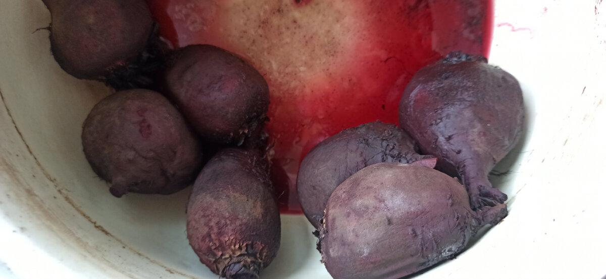 Остывать свекла должна без воды