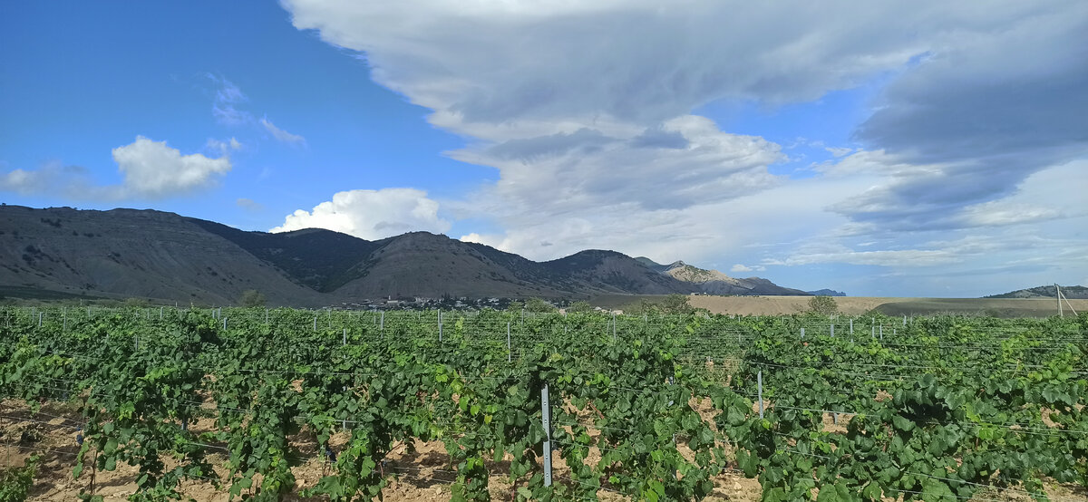 Солнечная Долина