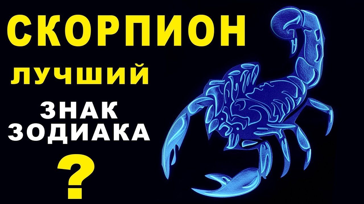 Гороскоп скорпион 2. Знак зодиака Скорпион. Скорпион лучший знак. Скорпион лучший знак зодиака. Скорпион весёлый.