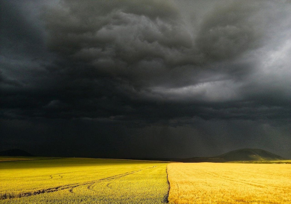 Картинка взята из интернета. 