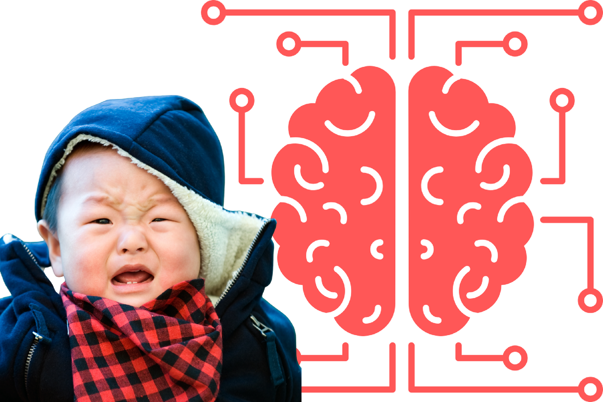 Коллаж на основе материалов приложения Canva