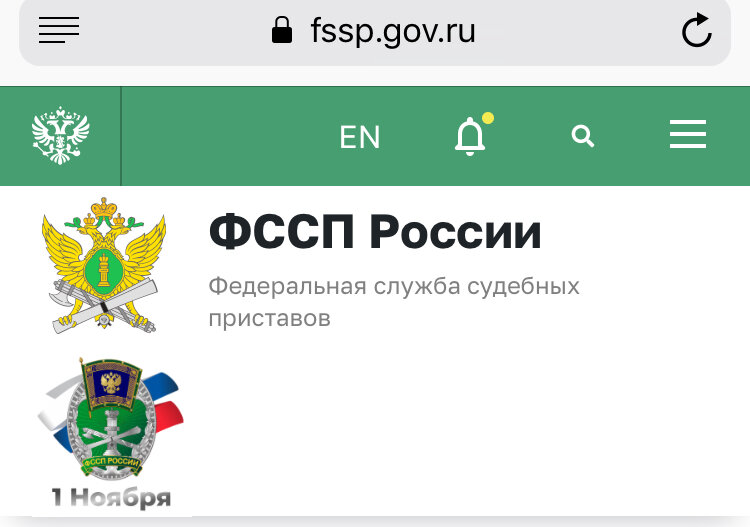 Скрин с сайта https://fssp.gov.ru/history/ ФССП России