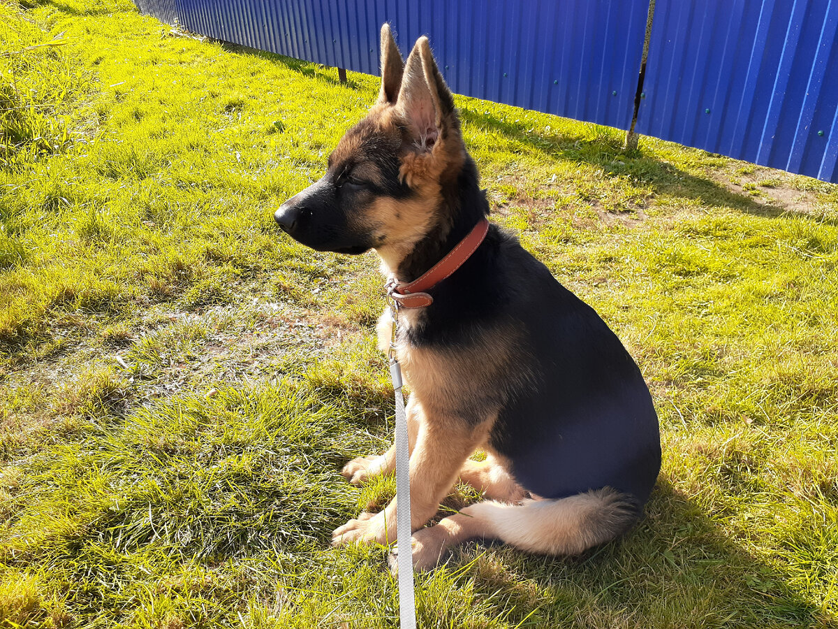 Из личного архива(медитируем) 