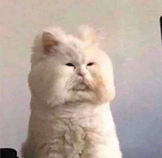 Фото: https://www.pinterest.ru 