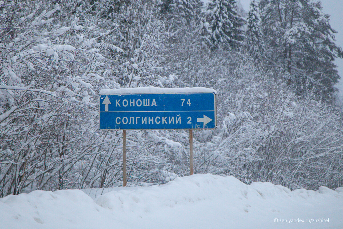 Как рождаются и умирают северные поселки. Солгинский, Архангельская область  | ЖЖитель: путешествия и авиация | Дзен