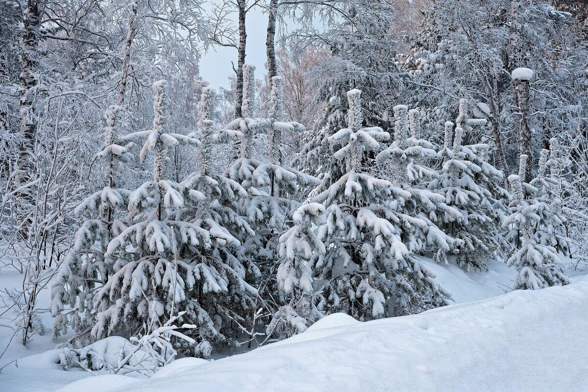 Фото — fotokto.ru