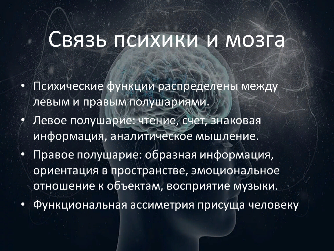 Мозг и психика. Взаимосвязь психики. Психика и мозг человека. Психика и мозг человека психология.