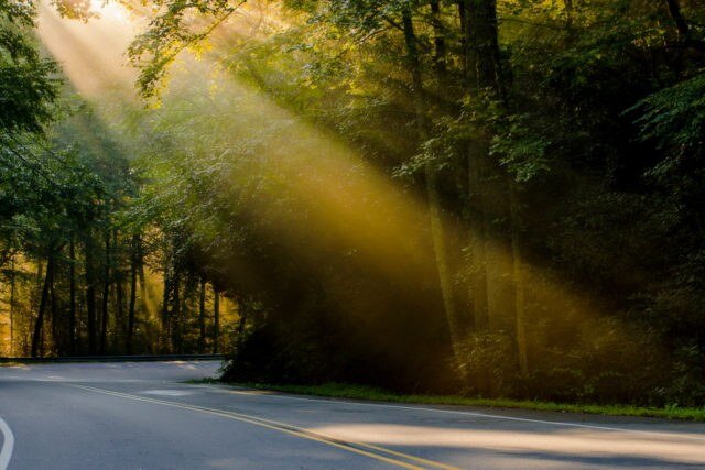 Яндекс.Картинки