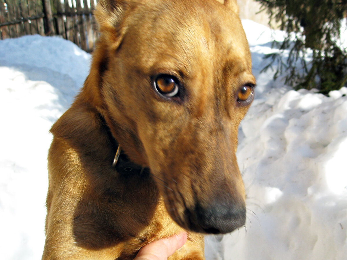 Ну как можно пройти мимо?