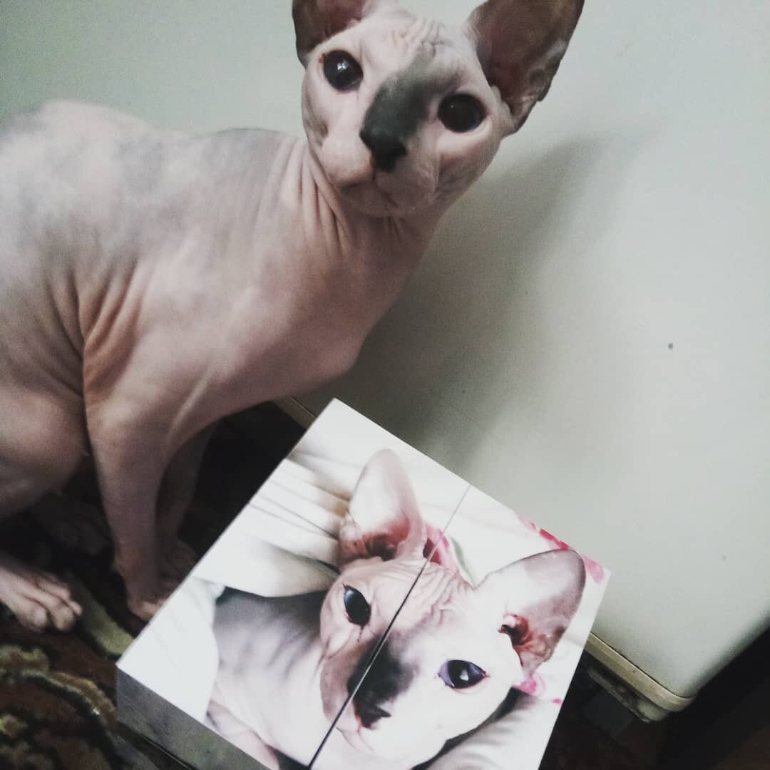 Личное фото