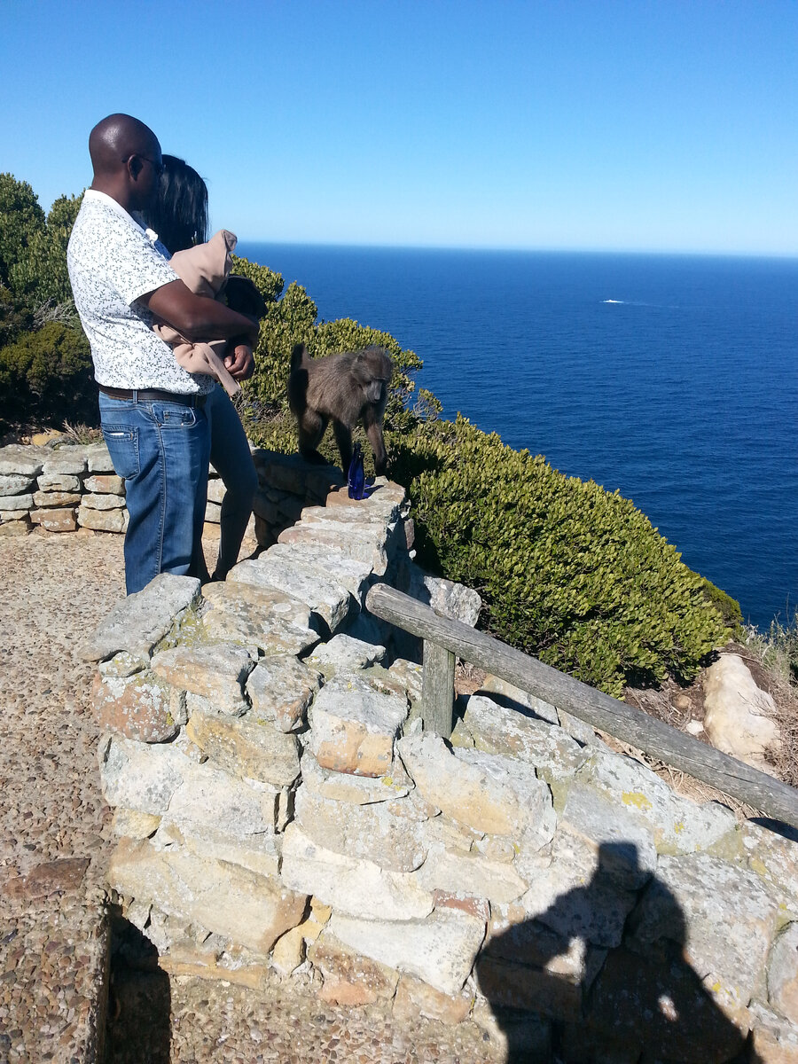 Капский полуостров(ЮАР), Cape Point - красивейший 