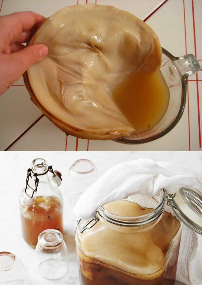 Как правильно приготовить чайный гриб на 3-литровую банку дома