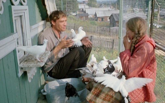 Все изображения в статье - интернет.