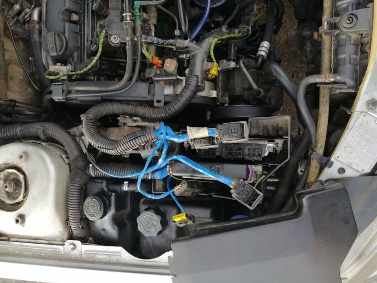 Волосы дыбом