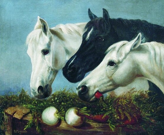 Лошадиное лакомство. Николай Сверчков.