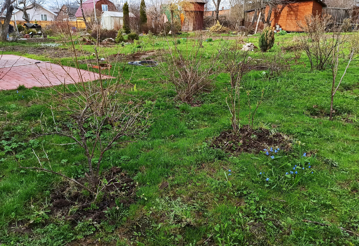 Фото автора. Весна вступила в свои права