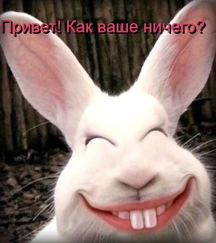 Куда я пропала? На третий - четвертый день у меня ушли все незначительные побочные эффекты. Мне стало так хорошо, легко. Панические атаки конечно не ушли, но стали легче, я не стала пока бегать и ездить одна . Для этого таблетки надо принимать долго . И вот мне предложили лечь в психушку в отделение неврозов. Мучилась , но решилась, страшновато. Сейчас в больнице. Зделали анализы. Также сделали ЭЭГ : это электроды одевают на голову и снимают энцефолпграмму мозга. Ощущения, как фильмах тебя садят на стул и присоединяют электроды, с каждым прицепленным электродом вспоминаешь все свои грехи, так и хочется крикнуть подождите, вы цепляет шестой электрод , а я ещё вспоминаю только третий грех. Вот это приключения. Назначили капельницу, сто пудово там успокоительное, уж очень спать хочется. Кормят очень хорошо!!! На ночь дают таблетку я её называю" мультики" : голову кружит, буквы плывут, ноги подкашиваются, ощущения полного пьянства. Жесть! Посмотрим что дальше. Но в отделении хорошо, чисто, тихо.Общалась с психологом, в некоторых мнениях разошлись. И все равно считаю себя правой. Вот сколько событий произошло за эти дни. Но пока не пожалела, что начала пить антидепрессанты. Жду ваши комментарии и вопросы.