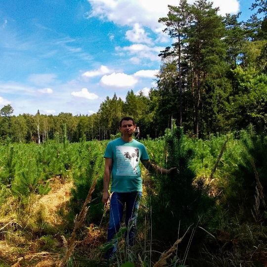 Наш лес, Червёнка-Лещины