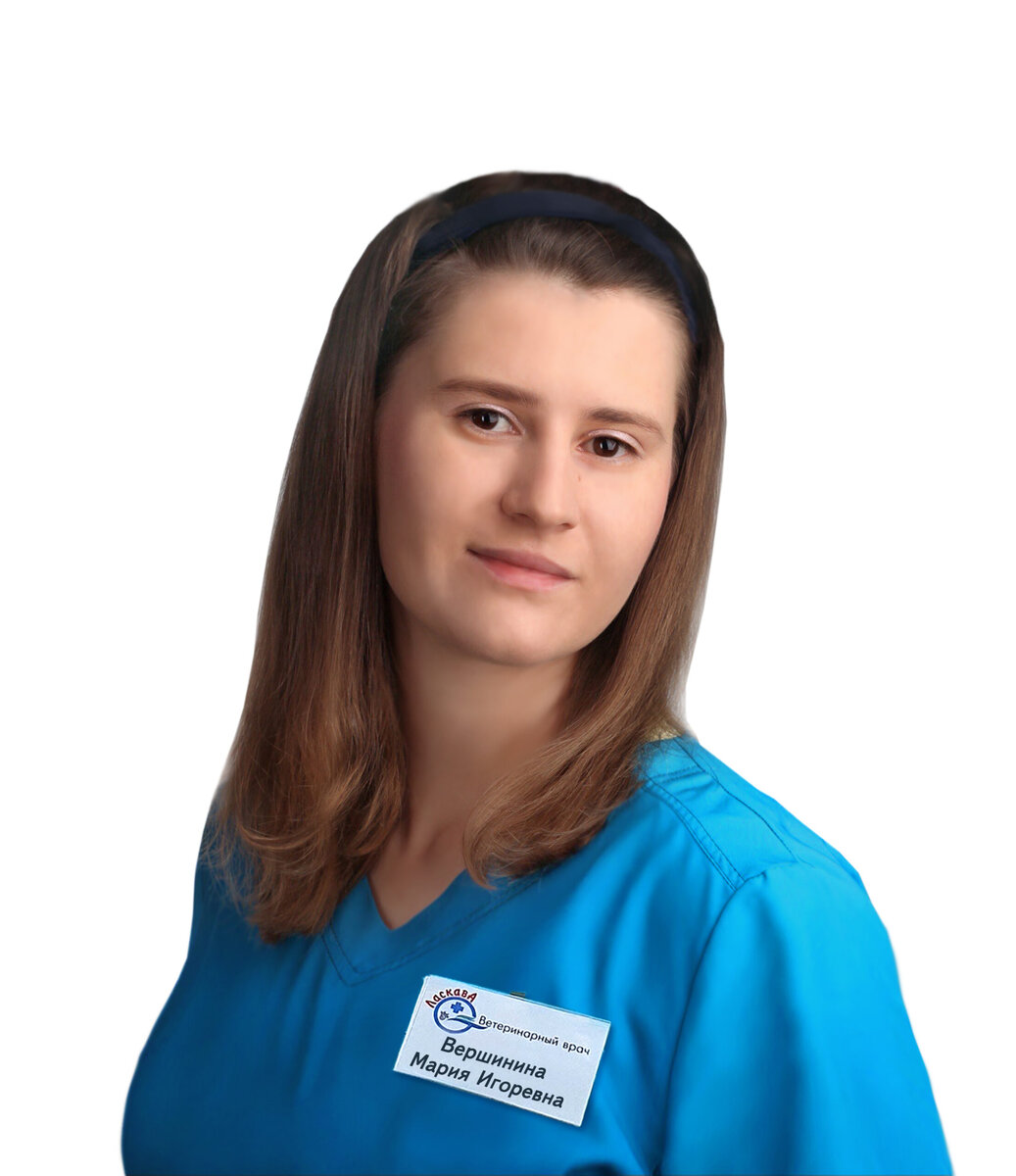  Вершинина Мария Игоревна. Ветеринарный врач. Крым, Симферополь