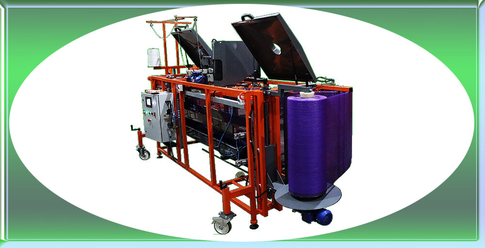 Фасовка лука-севка