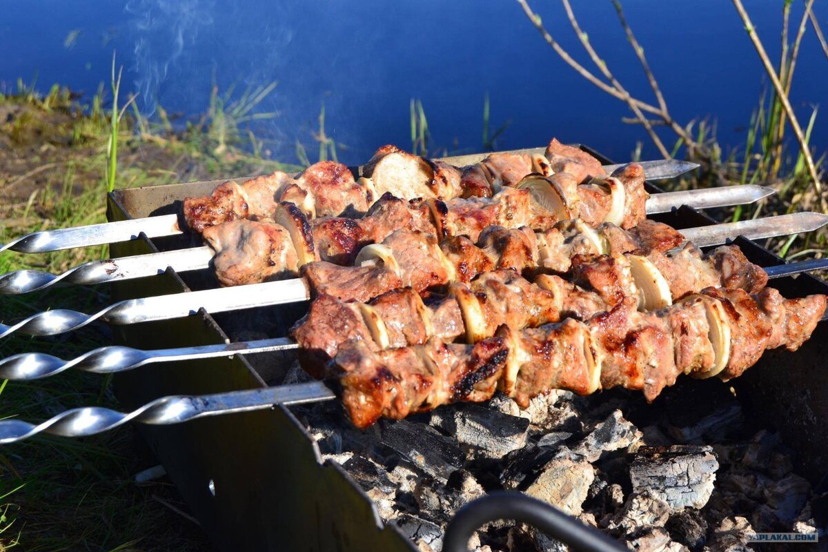 Как вкусно приготовить шашлык на мангале. Шашлыки на природе. Шашлык на мангале. Шашлык на мангале на природе. Майские шашлыки.