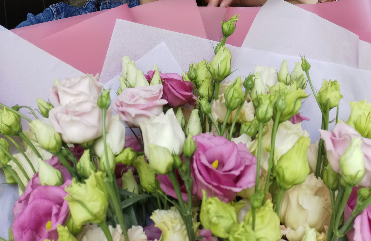 Договорились?