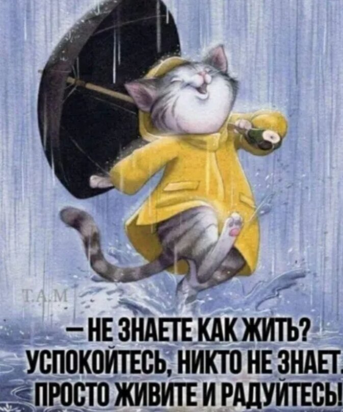 ФОТО ИЗ ИНТЕРНЕТА .... МНЕ НРАВИТСЯ!